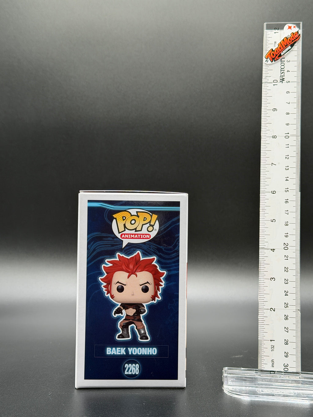 TM‑0039 Funko Pop! Solo Leveling Baek Yoonho #2288 Vinyl Figure New in Box